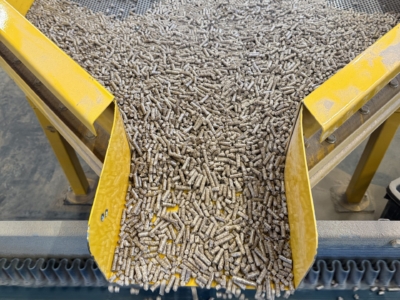 PELLET IN SACCHI MISTO ABETE/FAGGIO DI NOSTRA PRODUZIONE