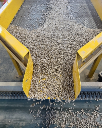 PELLET IN SACCHI MISTO ABETE/FAGGIO DI NOSTRA PRODUZIONE